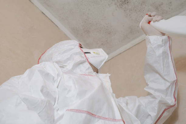 Best Emergency Mold Remediation in Fanning Springs, FL